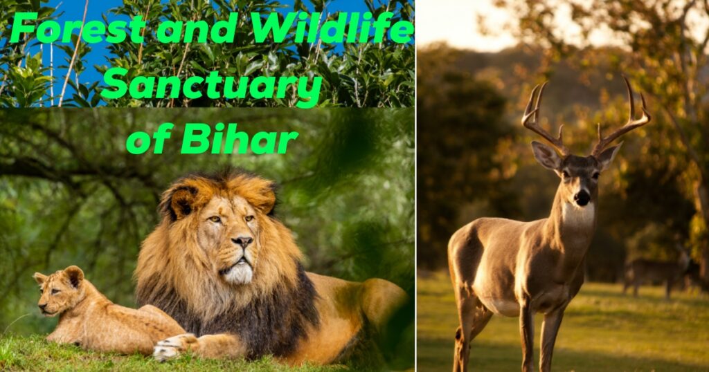 Forest and Wildlife Sanctuary of Bihar